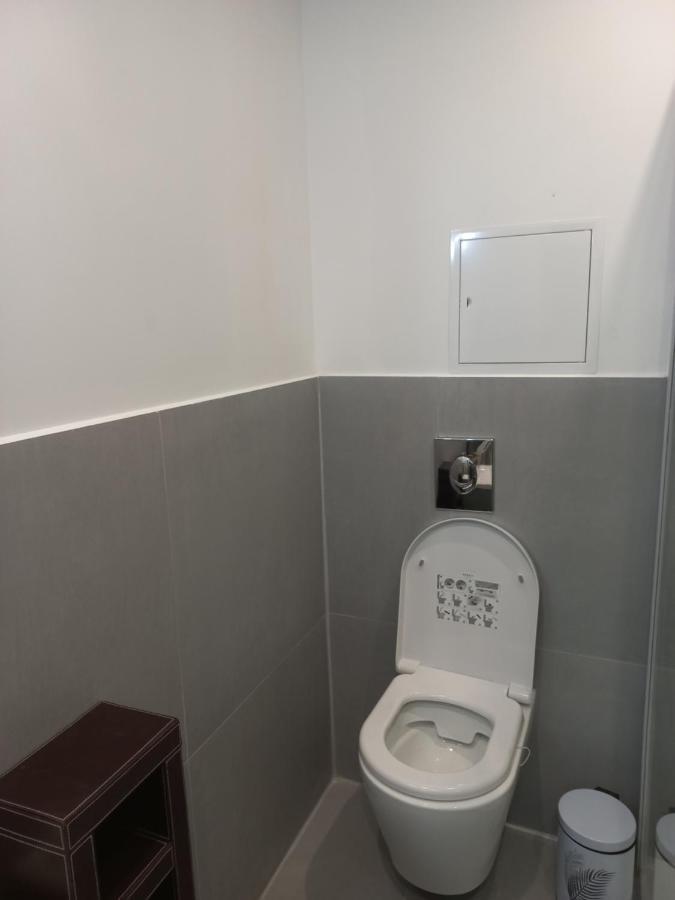Le Gerwig Colmar Centre Appartement Buitenkant foto